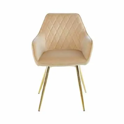 Quinn Champagne Dining Chair With Gold Legs